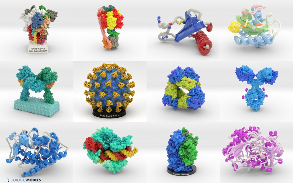 BiologicModels's tweet photo. Tell me what you think of the new #BiologicModels Shop. I've updated the site navigation to include collections for protein "Classification, Pathophysiology, Organism, and Model Type." tell me what you think,. @caseysteffen #biotech #Sars2 #CRISPR https://t.co/5OC4ssPEb7 https://t.co/RlaOGsiAiV