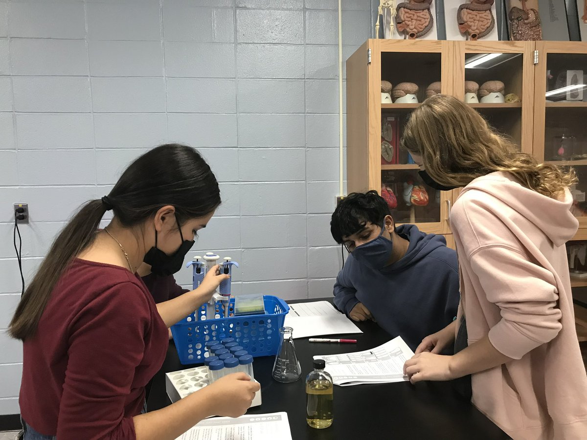 CCgirt's tweet photo. @KretzMarybeth &amp; @leonelcock3 introducing #microbiology skills to modify stinky bacteria to smell like bananas Proud if our @wearetrschools #ASR Authentic Science Research students from all 3 HSs #Biobuilder #CarolinaBio #NJSTEMPathways #syntheticbiology https://t.co/5Wmt3fMzcf
