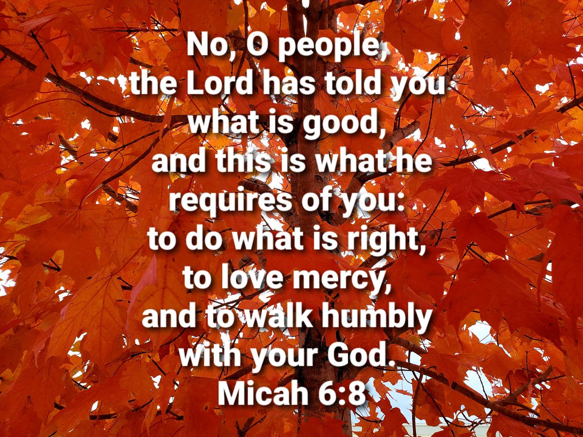 John4_36's tweet photo. Lord, empower me do what is right! Help me to love mercy! Most of all, teach me to walk humbly with YOU, my God! I long to fulfill Your desires for me! #deLIGHTinHIM https://t.co/k974H1bIhC