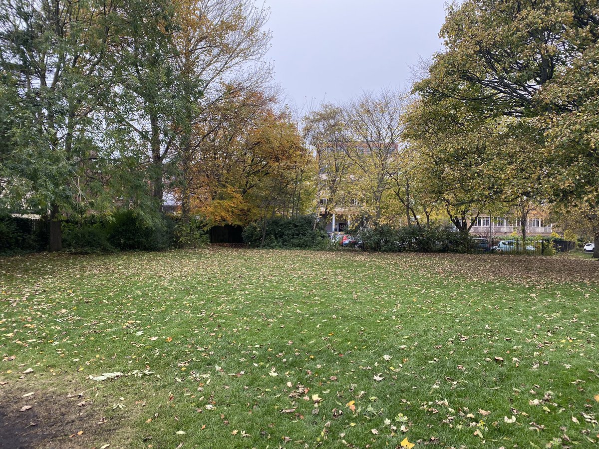 TrinityAc_Edin's tweet photo. Leaving #VictoriaPark nearly spotless this week thanks to last weeks #communitycrew and our PSE classes in S1. It’s wonderful to be able to serve our community in this way. #cec #proudcommunity #cop26 #service https://t.co/Cmdy9dDhDt