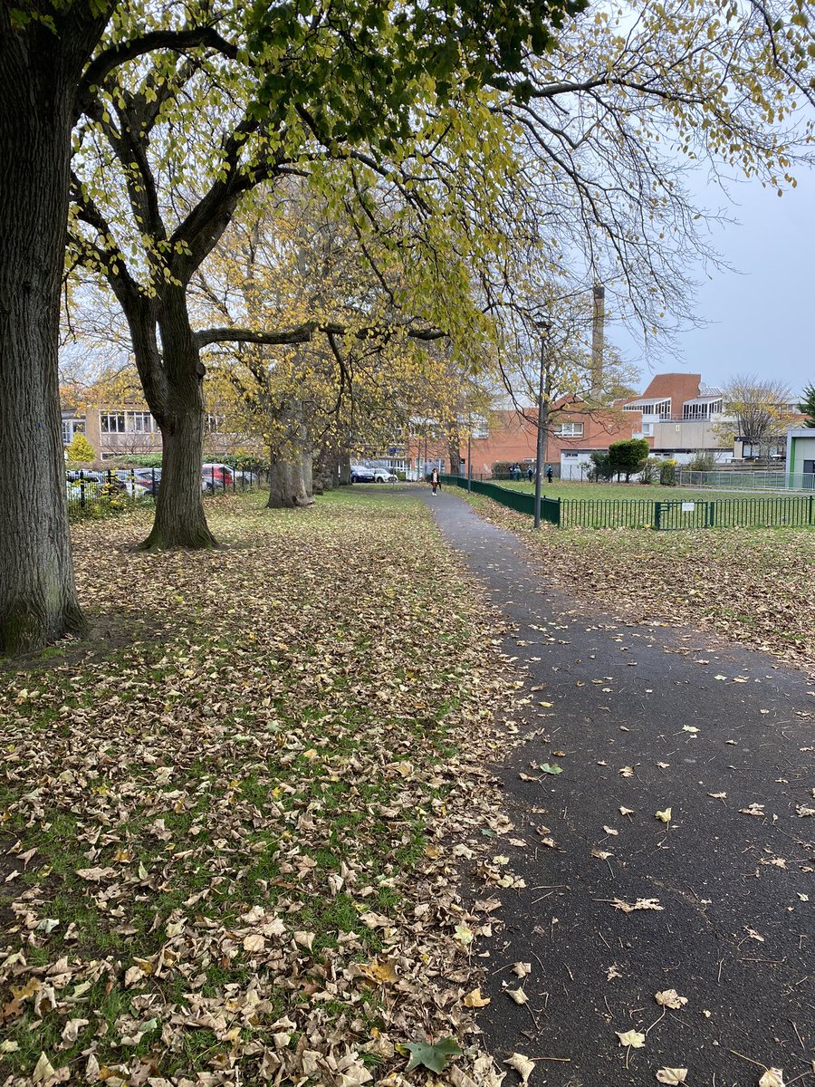 TrinityAc_Edin's tweet photo. Leaving #VictoriaPark nearly spotless this week thanks to last weeks #communitycrew and our PSE classes in S1. It’s wonderful to be able to serve our community in this way. #cec #proudcommunity #cop26 #service https://t.co/Cmdy9dDhDt
