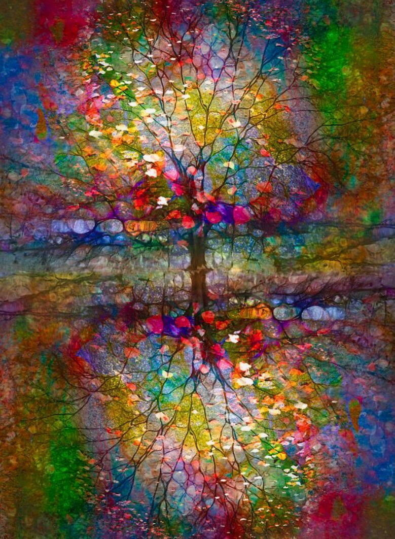 MarcEddy17's tweet photo. #LoneTrees #trees #painting #art #reflection

🌀😷🌳Lone Tree No.179 [Painting by Tara Turner, Courtesy ⁦@Havenlust⁩]🌳😷🌀 https://t.co/jXnkwG1ebf