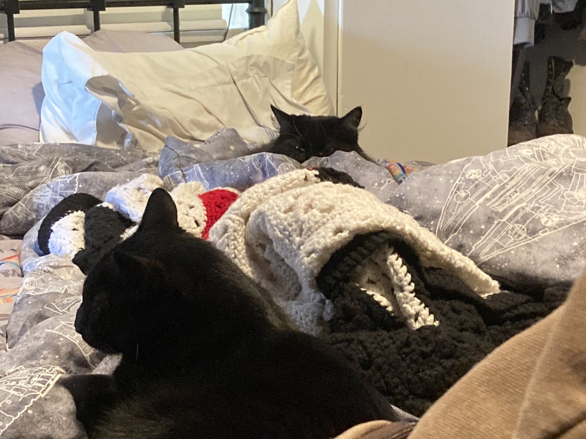 Ray Duran tweet media