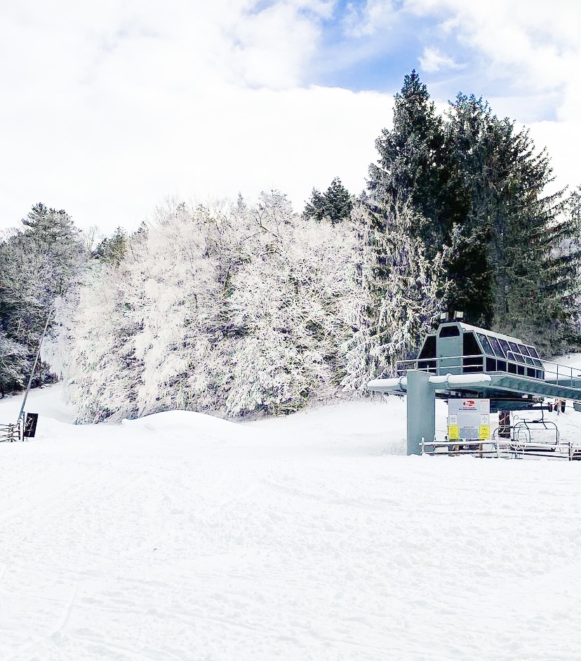 Ski Butternut tweet media