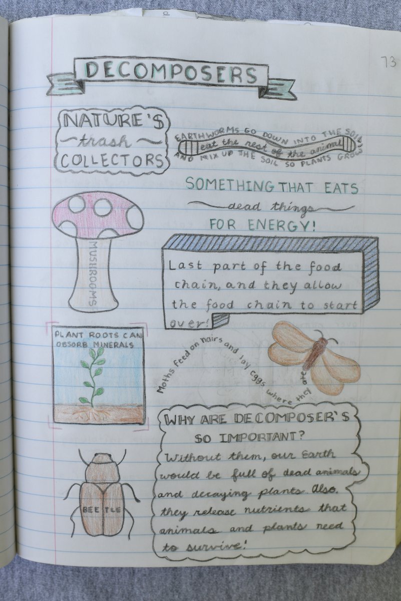 NGSS_tweeps's tweet photo. As students get more comfortable with the strategy, I'll have them synthesize information from several sources (video, poems, articles) into a single sketchnote. Here's one of my favorite examples from a fifth grade student on decomposers. https://t.co/pXFNR7QVgf