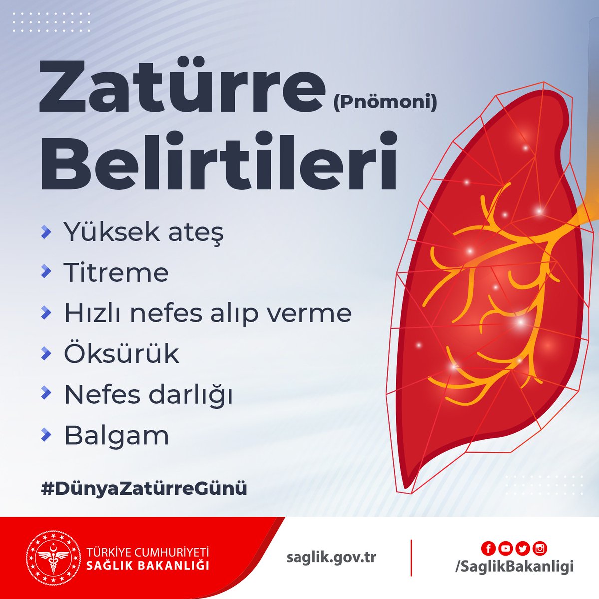 Akciğer dokusunun bakteri, virüs veya parazit etkenleriyle iltihaplanmasına zatürre (pnömoni) denir. Zatürre yaygın gelişirse solunum yetmezliği görülebilir. #DünyaZatürreGünü