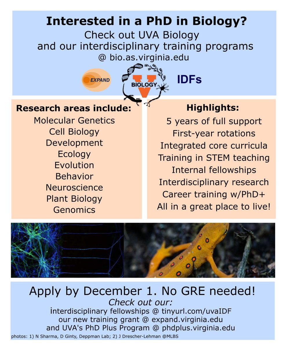 uvabio's tweet image. Come see us @ABRCMS to learn more about our PhD program in Biology!! #ABRCMS2021