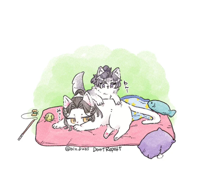 🐕🐈 