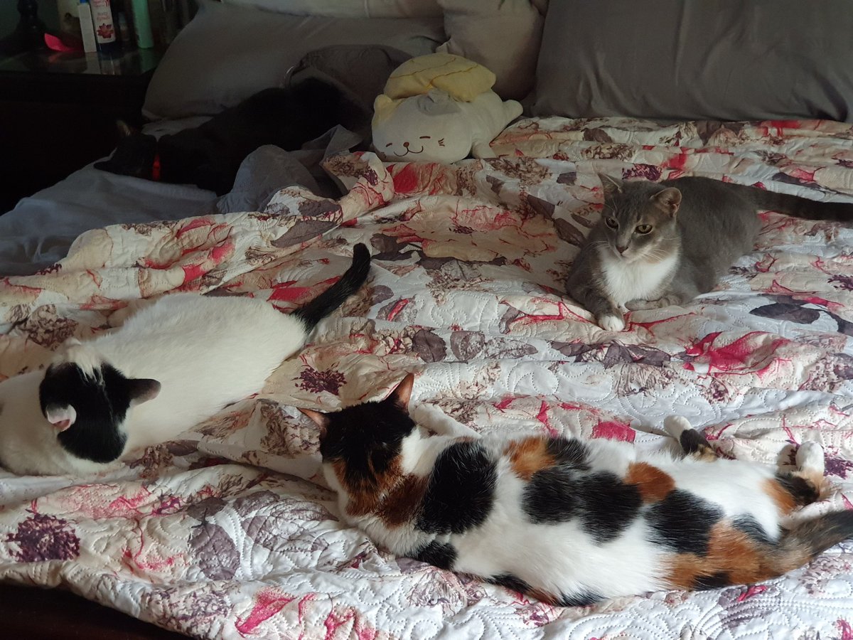 Alvaro Suarez-Arias tweet media