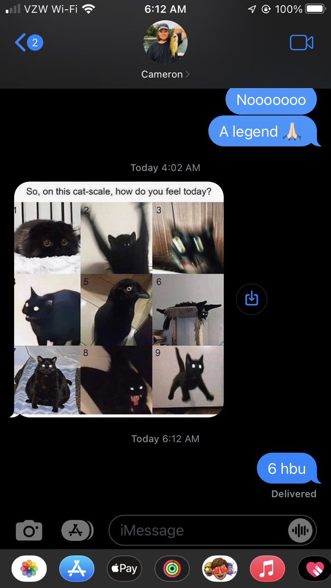 ayeeerinx3's tweet photo. Y’all be waking up to gm texts and I am receiving questions about my mood on the cat scale from my brother we are not the same https://t.co/5yslxZiUhd