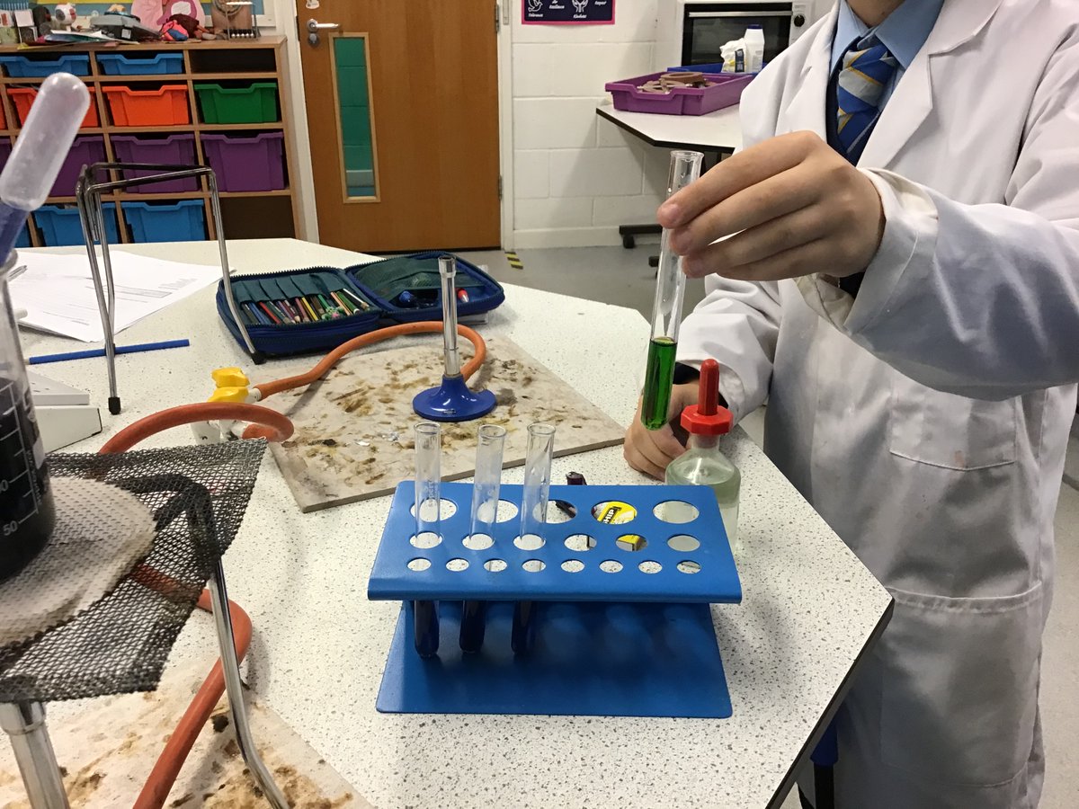 PennthorpeSch's tweet photo. Ever needed your own acid/alkali indicator using red cabbage? Year 6 have got you covered!
Check out the amazing colours they produced...
#ClassroomScience #Pennthorpe https://t.co/Q4XQB4MWCd