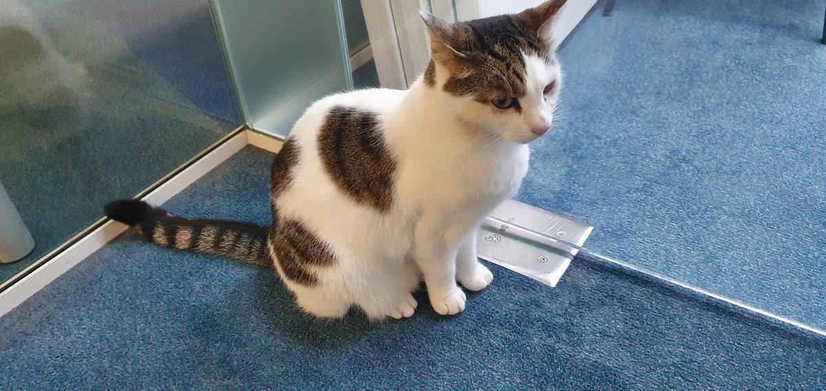 RCHTCharity tweet media