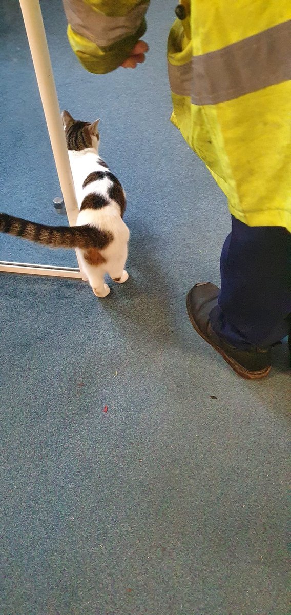 RCHTCharity tweet media