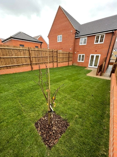 @StonewaterUK playing our part in helping the environment by planting a tree for every home built 🏘️🌳 Working in partnership with @communityforest