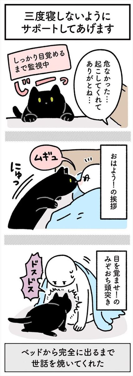 猫に「7時に起こして」と冗談を言ったら…… まさかの結果に驚く飼い主とお世話好きの黒猫の漫画 https://t.co/g3AzDYOUPR @itm_nlabより 