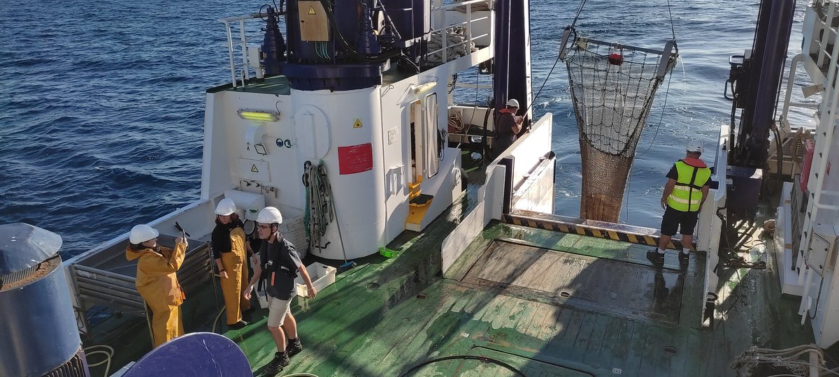 gemar_ieo's tweet photo. En la #CIRCALEBA_1121 🚢 realizamos 4 estaciones en horario diurno, de muestreos con shipek, beam trawl &amp; trineo HORUS, y adquisición y procesado de multihaz en nocturno a lo largo de todo el Levantino-Balear
27 días escudriñando el buen estado ambiental de estos fondos #ESMARES https://t.co/md3jhGrKLE