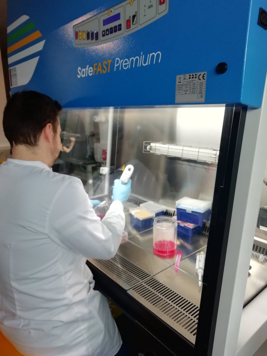 MMU_thrombosis's tweet photo. #SciFri #FridayScience
Splitting our cells ready for the weekend! 🥼🥽🧫🔬We've had a productive week!🥂
#tissueculture #research @NC3Rs @TheBHF

@mmucvrg @MMU_CBS @MMU_LifeScience @MMUEngage https://t.co/xAET9fzpTV