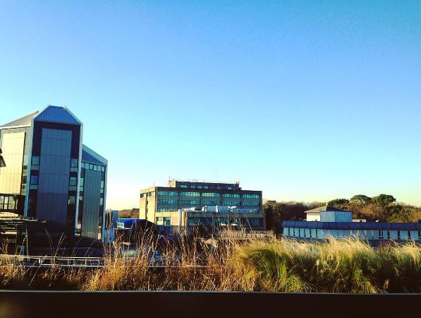 bournemouthuni's tweet photo. Throughout November a range of free events will share some of the social sciences research taking place at BU, as part of the Economic &amp; Social Research Council Festival of Social Science. The events will be held both online &amp; in-person: https://t.co/XVe9xIkCqf https://t.co/rm1A32tf6T