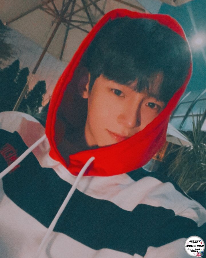 JCPHXCPW's tweet photo. INSTAGRAM UPDATE

https://t.co/4Cn0gcwAgF

DO NOT CROP LOGO© 

#changha
#jeonchangha
#jeonchanghaphilippines
#jeonchanghapuppiesworldwide https://t.co/YgQYoeedMp