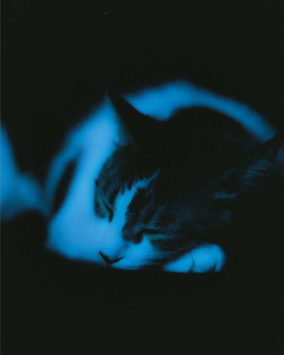 alex_windu's tweet photo. The dark side on #cinestill800t. First time using this type of film and I've learned to expose even more for the dark areas. #35mmfilm #filmcommunity https://t.co/1sn3j1TxEl