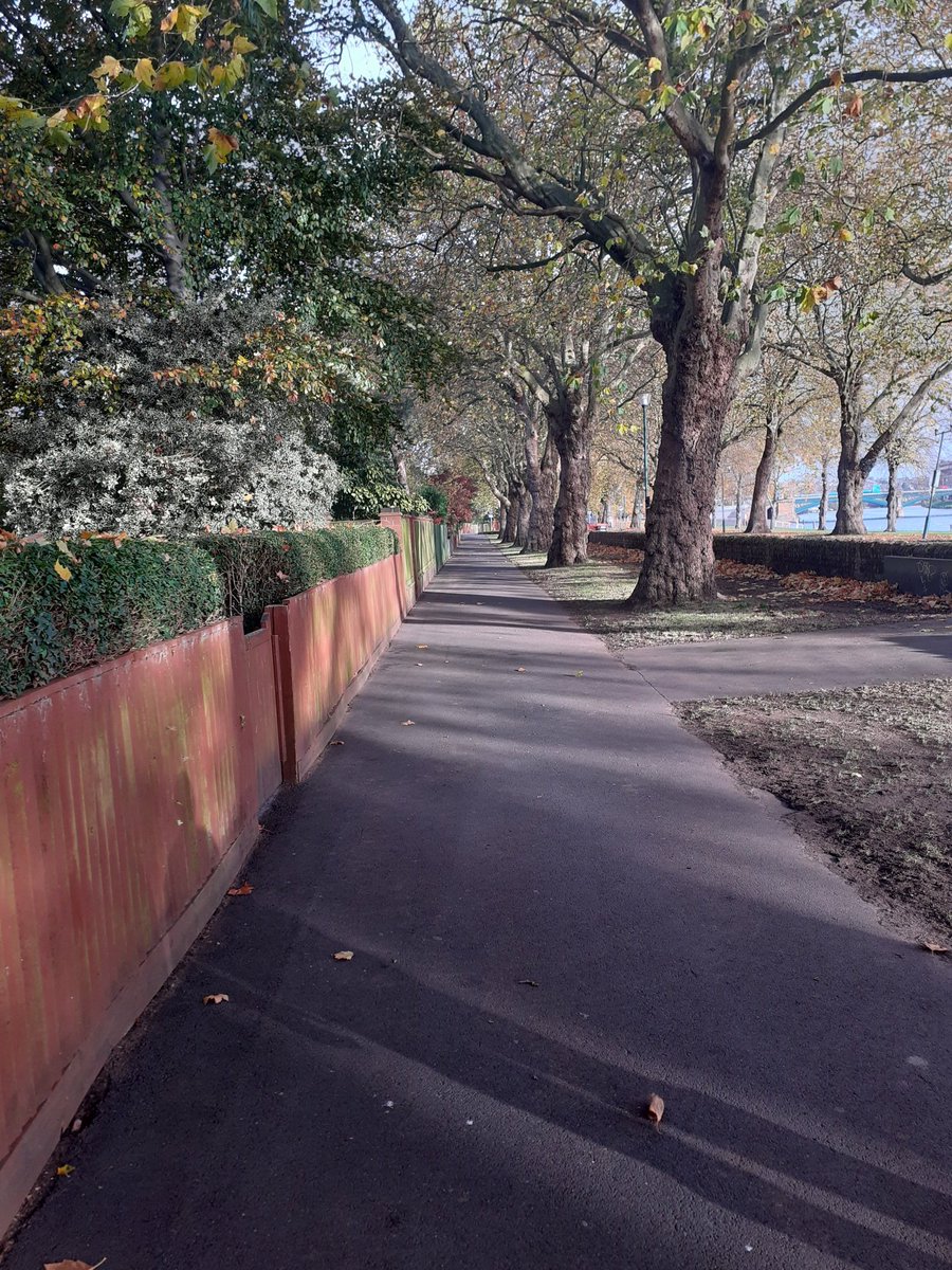 MeadowsPublicRealm tweet media