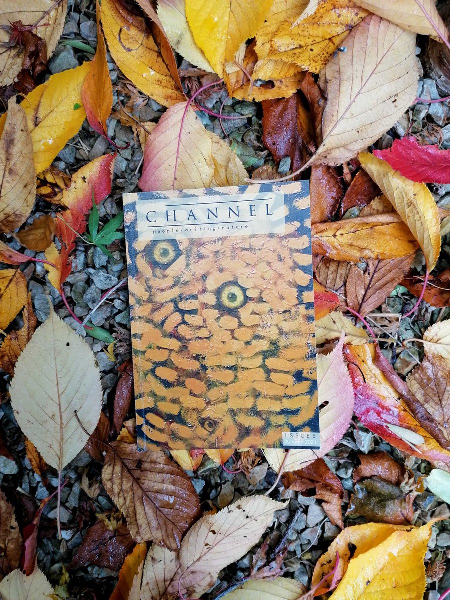 Channel_LitMag's tweet photo. Issue 5 is out in the wild! 🍂 Thank you so much to everyone who tuned in for last night's launch, which will remain available to play back through our website. To get your copy, head on over to our online shop at https://t.co/aHH7gGQ8ni. https://t.co/suVBOcw5y1
