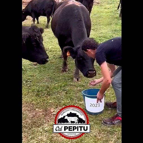 CPepitu's tweet photo. 📣costos de producció disparats: 📈pujades gasoil (+40%), energia (300%)🔌, desabastiment de materials aigua (+30%)🚰Xupatintes (+1000%)💣pinsos (+25%)🐂Som #Ramaders de #proximitat i ens veiem obligats també a pujar preus. #angus #Cardona  
👉https://t.co/xWL5wp1nbf https://t.co/KxW5nS7PkG