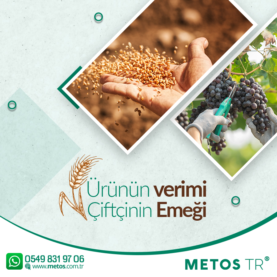 MetosTurkey's tweet photo. Ürünün 𝗩𝗲𝗿𝗶𝗺𝗶 Çiftçinin 𝗘𝗺𝗲ğ𝗶

METOS TURKEY
Adres: İnönü Mah. Adnan Menderes Bulv. No:88 K:1 D:1 Yenişehir / MERSİN
Mobil: 0549 831 97 06
Web: https://t.co/9sQ4cQu6Dp

#metos #metosturkey #metostr #agriculture #irrigation #fruit #meyve #sulama #toprak https://t.co/HTLAzU88Bv