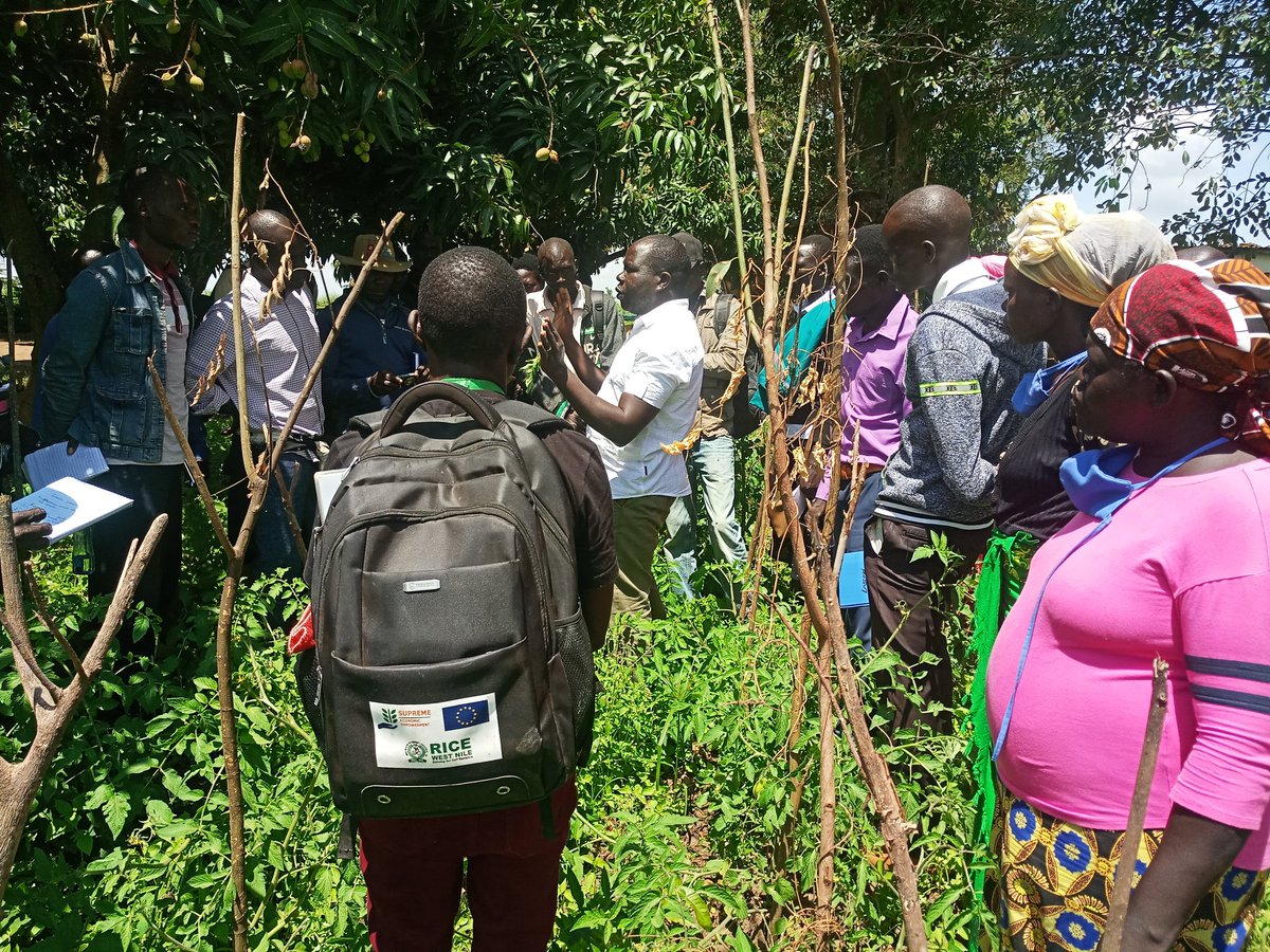 RICEWestNile's tweet photo. Final day of the exposure visit to refugee and host SDCs farmers from Palorinya Sub County at @narouganda in Arua. #WithRefuges #SUPREME @EUinUG @WorldVisionUg @ZOAUganda @SNVworld https://t.co/s9wKiCFRbP