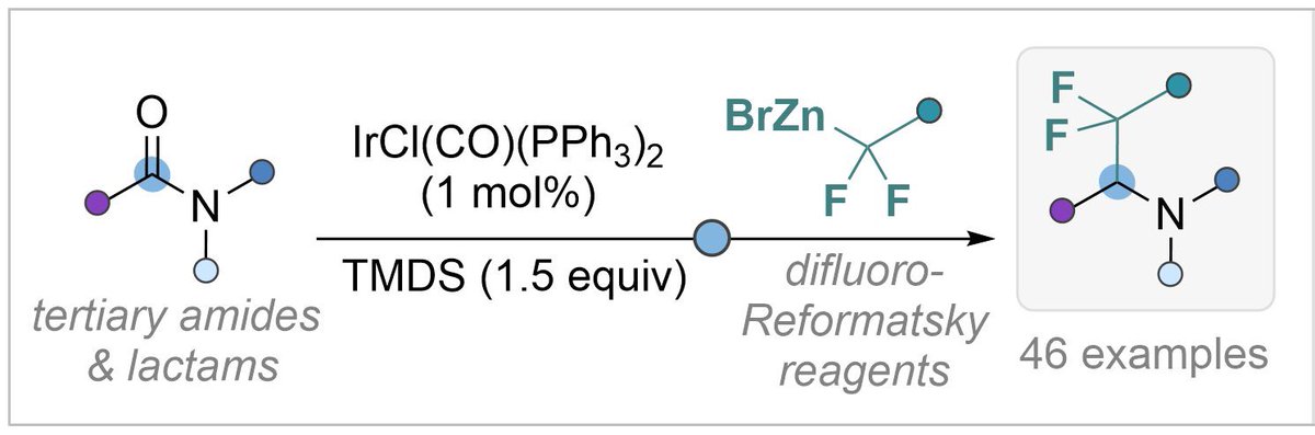 Dixon Group tweet media