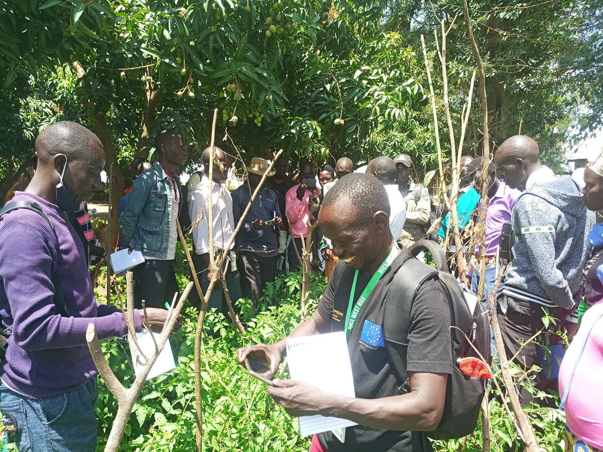 RICEWestNile's tweet photo. Final day of the exposure visit to refugee and host SDCs farmers from Palorinya Sub County at @narouganda in Arua. #WithRefuges #SUPREME @EUinUG @WorldVisionUg @ZOAUganda @SNVworld https://t.co/s9wKiCFRbP