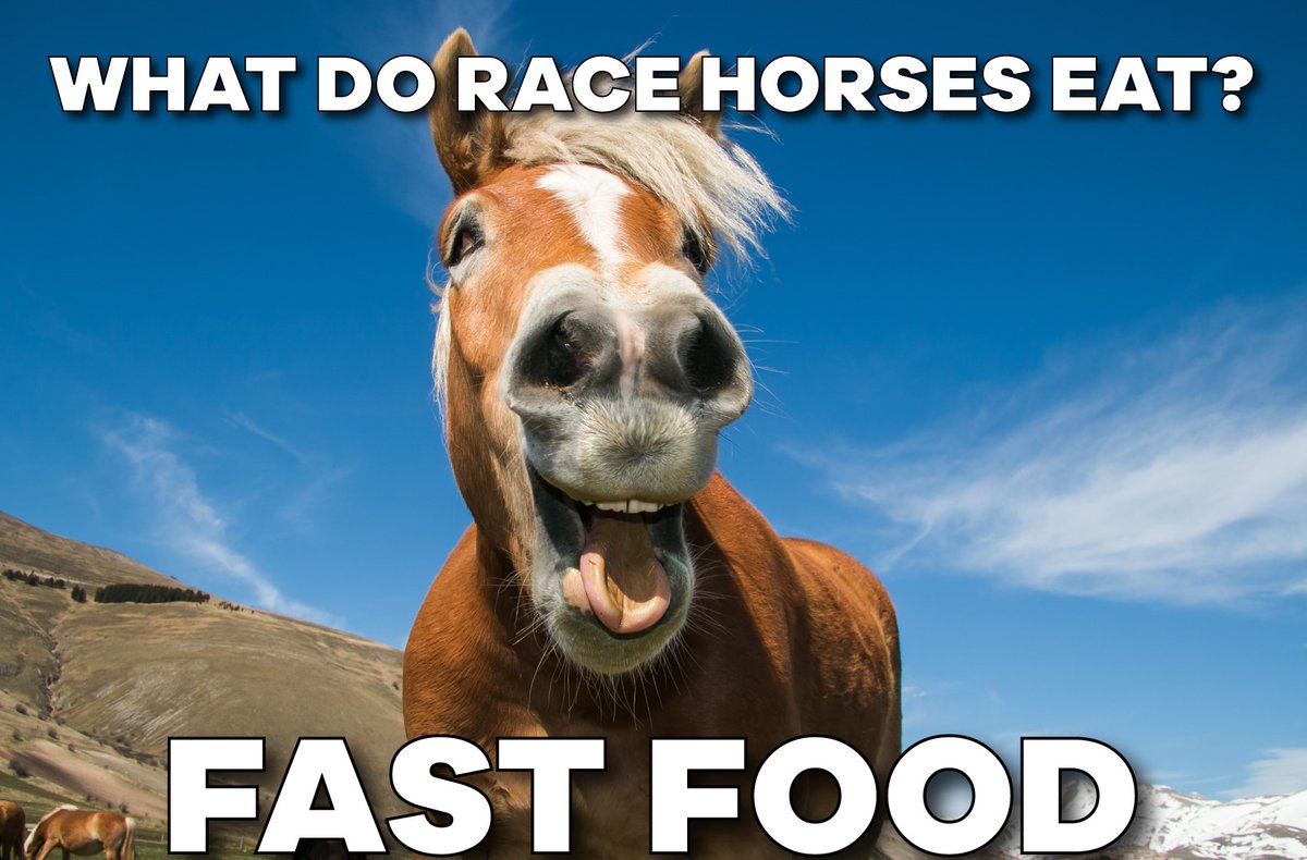 Wormers-Direct tweet media