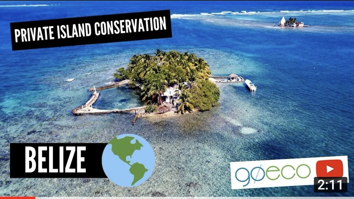 Go_Eco's tweet photo. Ready for Belize?
Volunteer on a tropical private island 🌴 Learn to dive &amp; help protect the Belize Barrier Reef 🐬 Live &amp; work with new friends from all over the world 🌎 
See for yourself >> https://t.co/Kw7Vt1pxW4 https://t.co/JCjAekUCLl