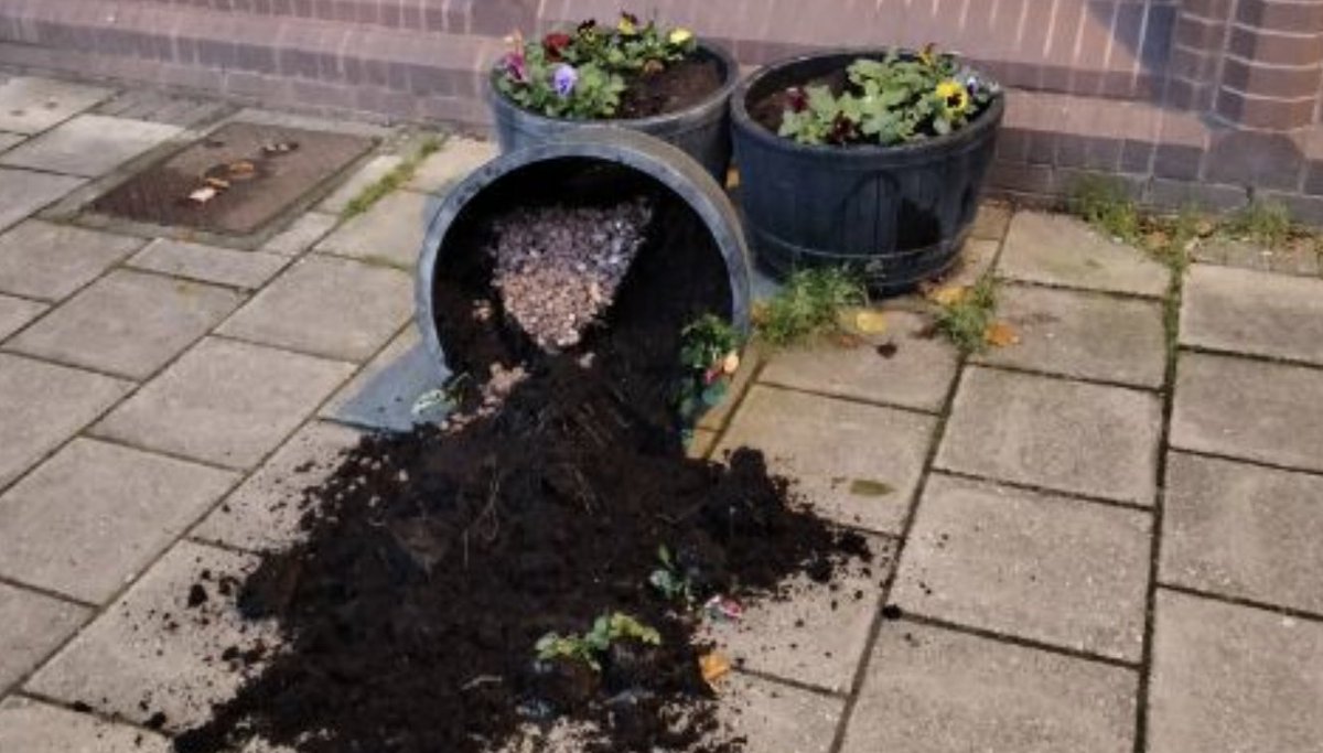 “Mindless vandalism is disheartening”

👉 bit.ly/3GTojta