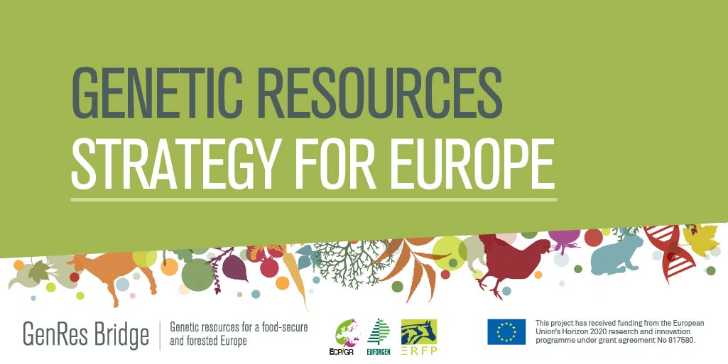 GenRes Bridge (@genresbridge) on Twitter photo 🔴Curious what the Genetic Resources Strategy for Europe is about?
🟢We invite you to join us on 12 November for an in-depth webinar presentation.
🖥️Sign up here:
genresbridge.eu/index.php?id=3…
@ForestEUROPE <a href="/HorizonEU/">Horizon Europe 🇪🇺</a> <a href="/ECPGR/">ECPGR</a> <a href="/EUFORGEN/">EUFORGEN</a>
<a href="/ERFPAnGR/">erfp_animalgenetic</a> <a href="/INRAE_France/">INRAE</a> <a href="/FAOclimate/">FAO Climate Change & Biodiversity</a> #CGRFA 🔴Curious what the Genetic Resources Strategy for Europe is about?
🟢We invite you to join us on 12 November for an in-depth webinar presentation.
🖥️Sign up here:
genresbridge.eu/index.php?id=3…
@ForestEUROPE <a href="/HorizonEU/">Horizon Europe 🇪🇺</a> <a href="/ECPGR/">ECPGR</a> <a href="/EUFORGEN/">EUFORGEN</a>
<a href="/ERFPAnGR/">erfp_animalgenetic</a> <a href="/INRAE_France/">INRAE</a> <a href="/FAOclimate/">FAO Climate Change & Biodiversity</a> #CGRFA