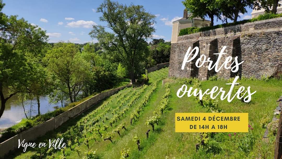 VigneEnVille's tweet photo. 📣 L'association Vigne en Ville #Angers vous ouvre ses portes le samedi 4 décembre. Venez nous rencontrer !
🕑 Rdv à partir de 14h au 6 rue Ambroise Paré
🚶‍♀️Visite des parcelles
🥂 Dégustations et présentation de notre production
📦 Possibilité d'acheter nos bouteilles
#gratuit https://t.co/iDQPp1Gw9G
