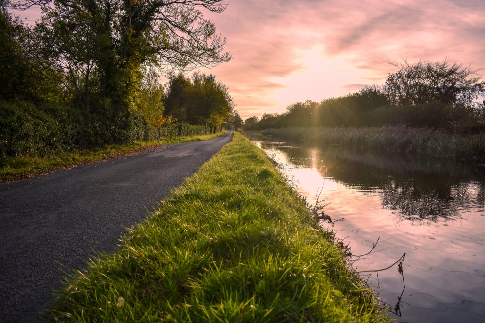 ThinkBusiness.ie tweet media