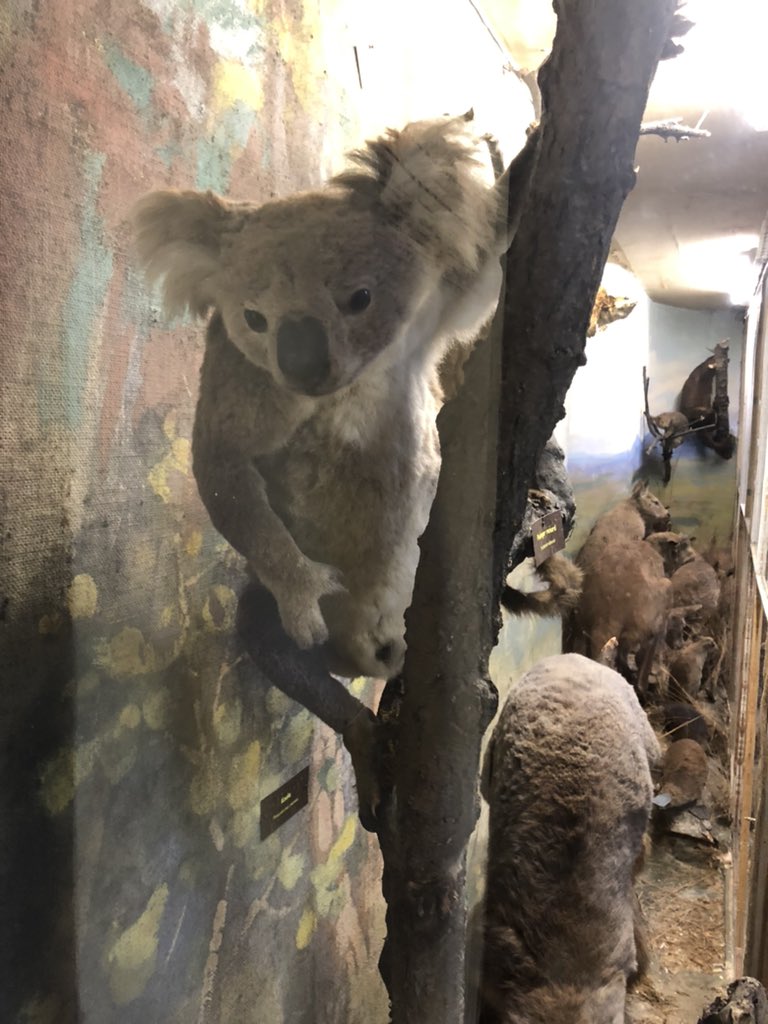 Museomix Normandie tweet media