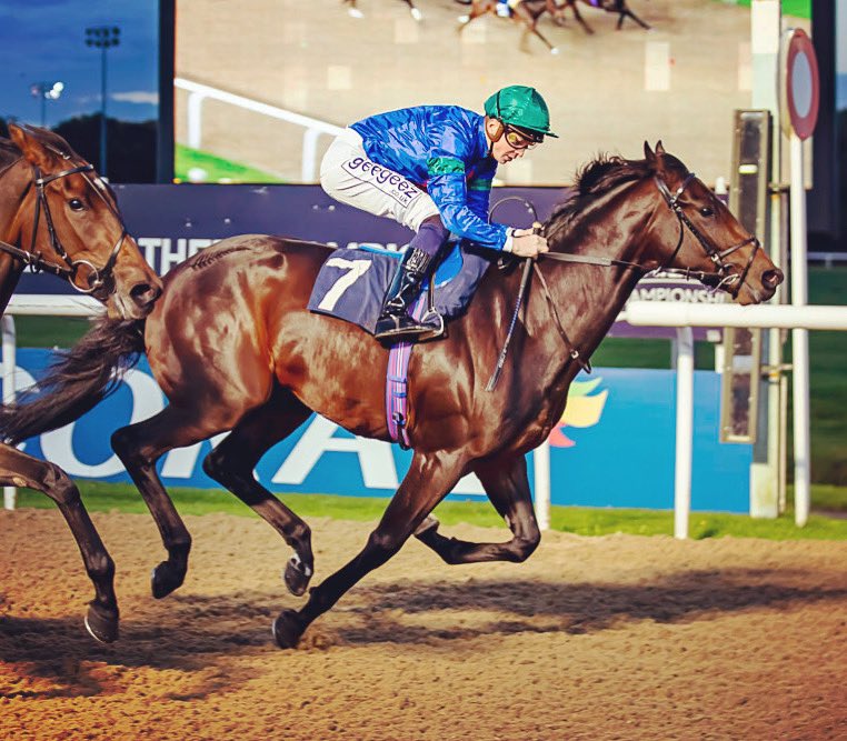 jmhracing1's tweet photo. Good luck Red Phantom (Red) on your Aussie adventure now your big money transfer is complete. 
On day 1 this son of Estidhkaar showed all the right attributes to succeed. A bargain at £800 from the Somerville Yearling sale. @MarkToddracing @HettaStevens @Tattersalls1766 https://t.co/awbYoRB6sC