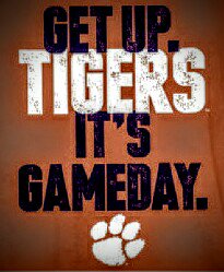Get Up Tigers! Sectional Championship game vs Brownstown Central @ 7:30 in the Pit! Go Tigers!