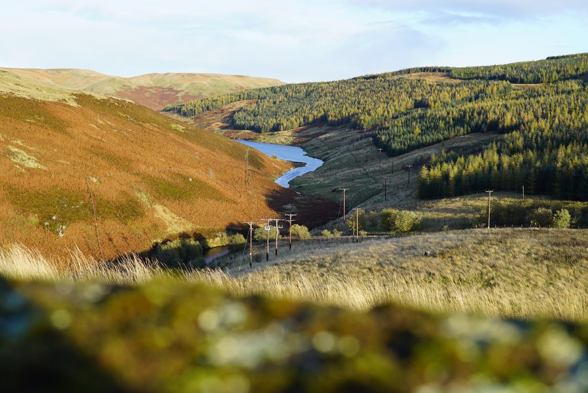 BBCJamesCook's tweet photo. 🧵Scotland is facing twin threats in the climate change era of flooding and drought. Confusing? It’s because the country is seeing both longer periods of warm, dry summer weather and more intense downpours, especially (but not only) in winter. https://t.co/xzgiZc0yjy #COP26 https://t.co/3VxlN9bOzD