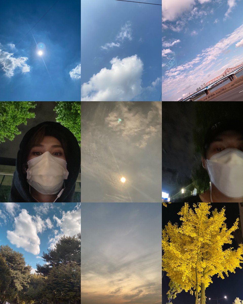 leeknow’s habit of sharing pics whenever he’s on a walk is so endearing to me. showing us a little piece of his day