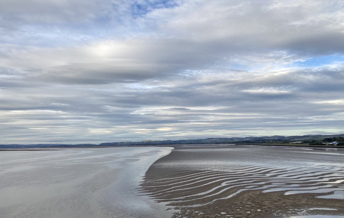 Joe Pierce tweet media