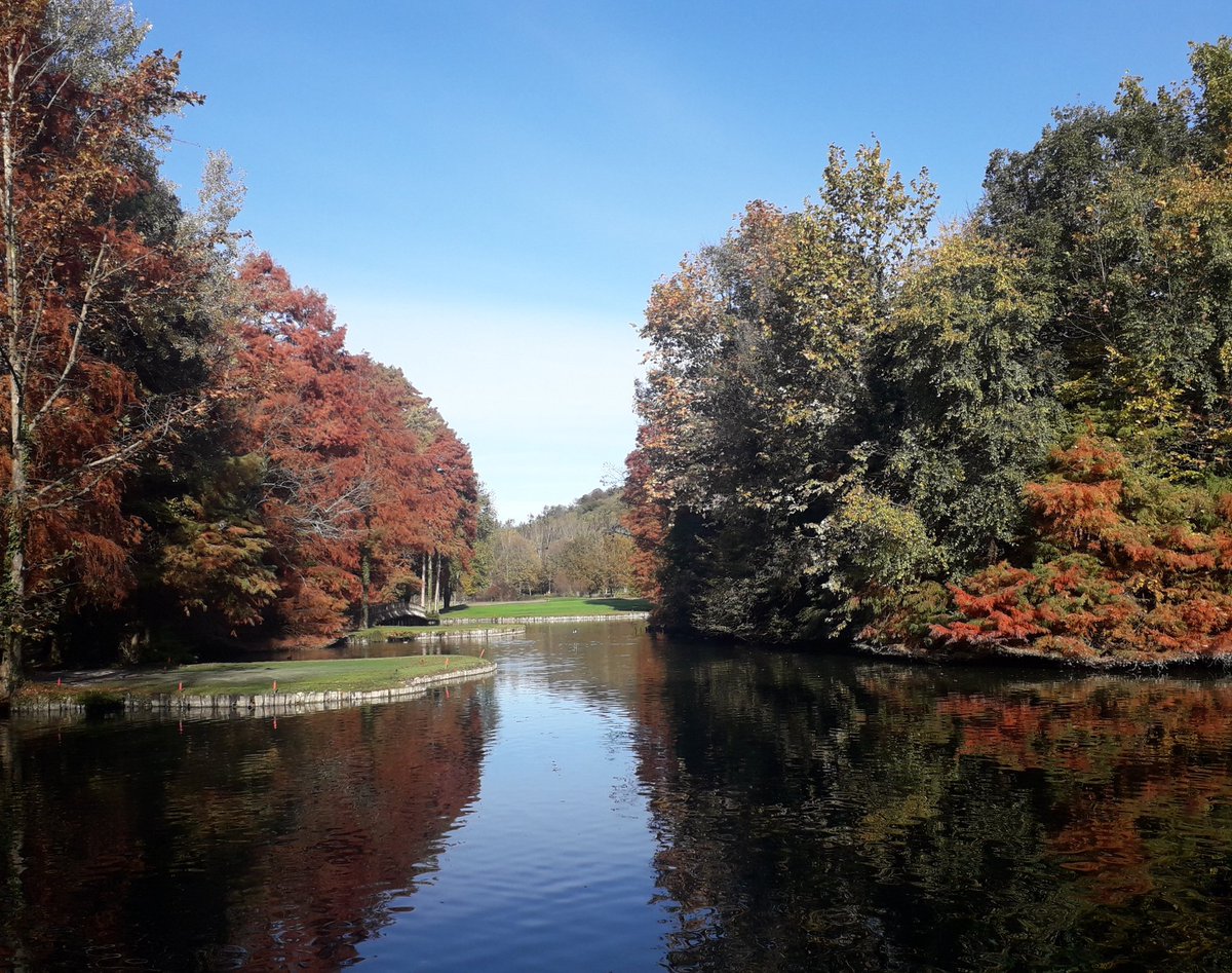 At this time of the year many #italian #golf courses become #color palettes🍁 Here is Frassanelle Golf in the #Venice region, twice awarded with #impegnatinelverde by @FederGolf @creditosportivo & @RandA for its #environmental #commitment🦋 @sustainablegolf @GolfSustainable