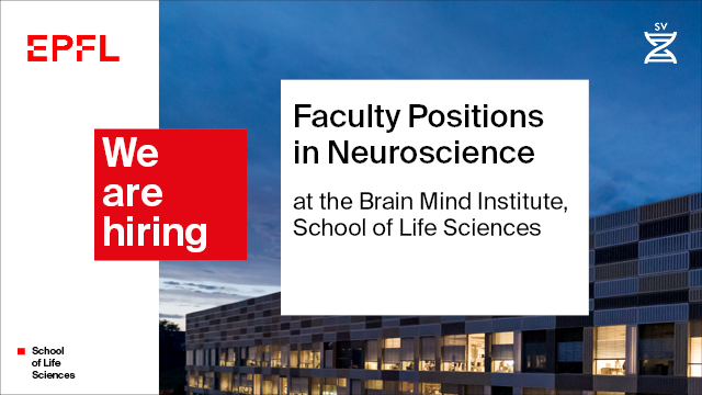 EPFL Brain Mind Institute tweet media