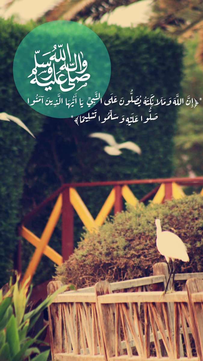 #الجمعه 

*﴿إِنَّ اللَّهَ وَمَلَائِكَتَهُ يُصَلُّونَ عَلَى النَّبِيِّ  يَا أَيُّهَا الَّذِينَ آمَنُوا صَلُّوا عَلَيْهِ وَسَلِّمُوا تَسْلِيمًا﴾*