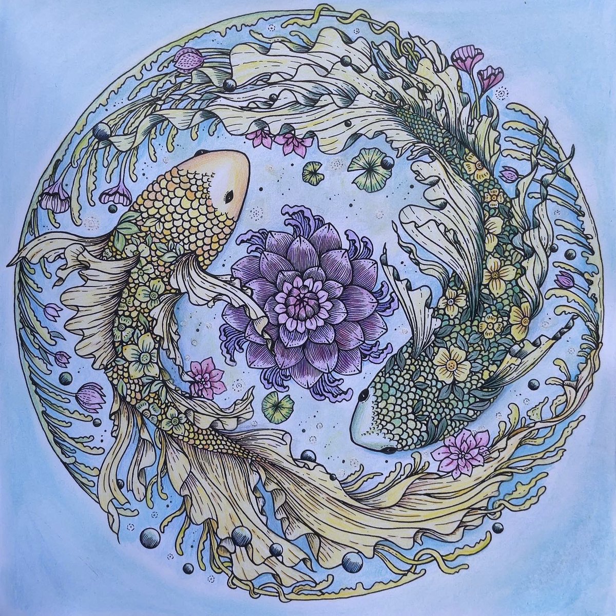 Refine_balance's tweet photo. ��circle of life」塗り絵本より。

#大人のぬりえ　#大人の塗り絵　#おとなのぬりえ　#circleoflife #circleoflifecoloringbook #coloringbook #coloringbooks #adultcoloringbook https://t.co/DKlkhMFUy9
