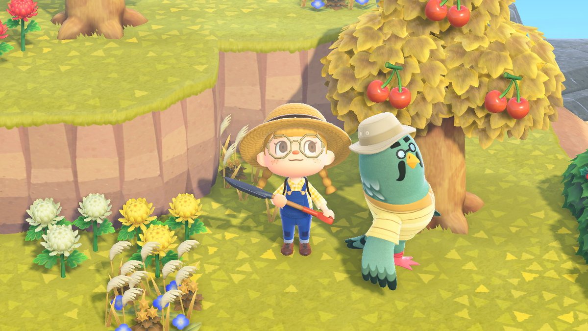 ConsultingMary's tweet photo. I'm so excited! #AnimalCrossing #ACNH https://t.co/JdKinmJU9W