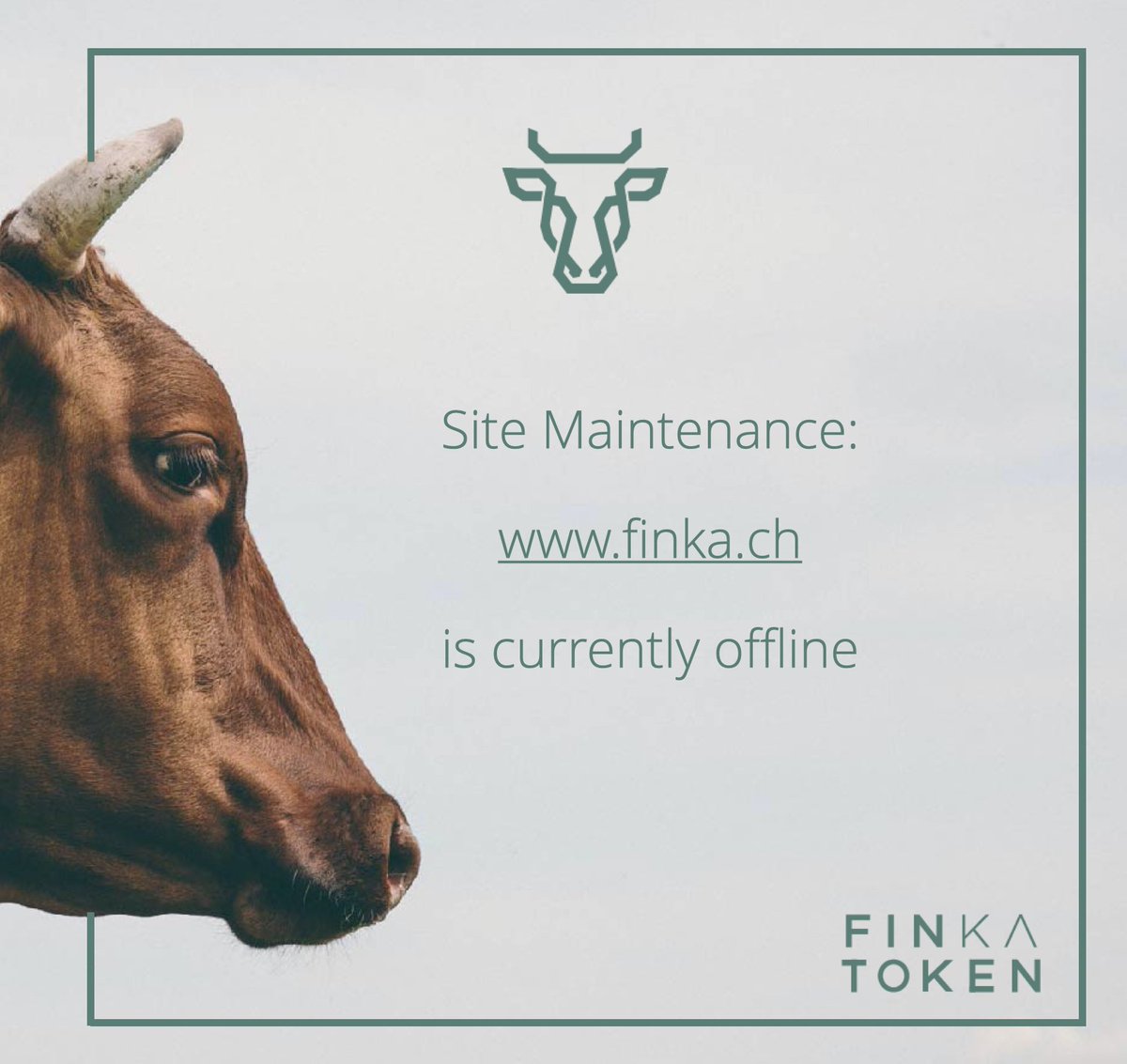 Please note that due to website maintenance, our Finka CH Site  is currently down and will be up and running in the next couple of days. Stay tuned for exciting updates. Thanks for your patience. Carlos and team!