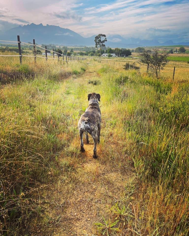 Ealrly morning nature walk